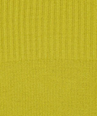 JOSEPH 【洗える】メリノリブ　ニットTEE Ginkgo