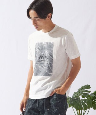 JOSEPH ABBOUD MOUNTAIN 【UNISEX】スラブリーフプリント Tシャツ
