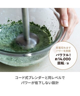 YAMATO テーブル＆キッチン 【レコルト】コードレスハンディブレンダー  レッド  RHB-2(R) レッド