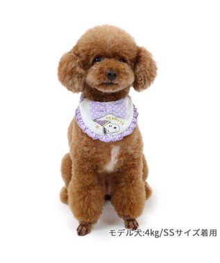 PET PARADISE スヌーピー スタイ 《お誕生日 パーティー柄》 小型犬 パーティー柄