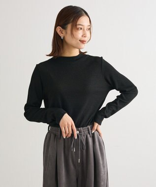 Green Parks ｉｎ　ラメリブハイネックプルオーバー Black
