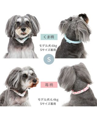PET PARADISE ペットパラダイス 28℃クールリング SUO 《いちご柄》 〔Ｓ〕 小型犬 いちご