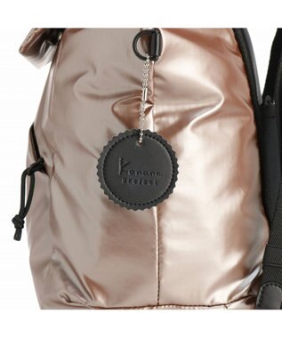 ACE BAGS & LUGGAGE Kanana project collection DYL ラポシュ リュックサック A4サイズ 68545 カナナプロジェクト メタリックトープ