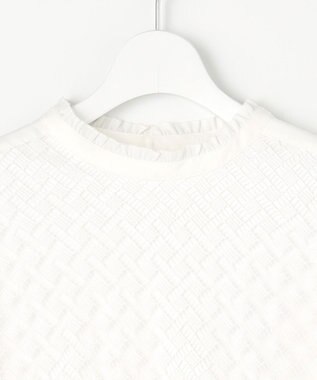 J.PRESS LADIES パウダリーツイルレースコンビ カットソー ホワイト系