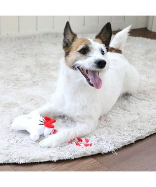 PET PARADISE ディズニー ミニーマウス 《手のロープトイ》 犬用おもちゃ -