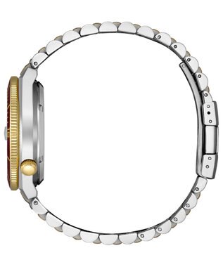 CITIZEN 【メカニカルウオッチ TSUYOSA】豊富なカラーバリエーションが人気の機械式腕時計 NJ0234-58X シルバー