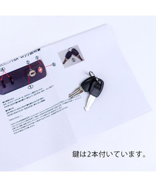 tsumori chisato CARRY 新ネコドットキャリー キャリーバッグ キャリーケース 【 海外旅行にも 約58リットル 3泊 4泊程度 】 グリーン