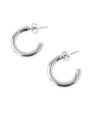 Green Parks ｅｖｅｒｙｗａｌｋ．ステンレスチャンキーフープピアス Silver