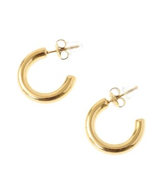 Green Parks ｅｖｅｒｙｗａｌｋ．ステンレスチャンキーフープピアス Gold