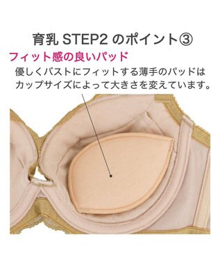 BRADELIS New York 【BRADELIS New York/ 育乳補整ブラ・STEP2 寄せる】ナオミステップ2ブラ24A1 ゴールド