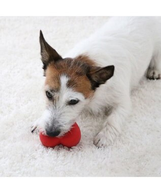 PET PARADISE スヌーピー ハート ラテックス トイ レッド