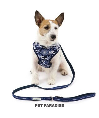 犬 ハーネス リード J Press ハーネス リード 3s リーブス 超小型犬 小型犬 Pet Paradise ファッション通販 公式通販 オンワード クローゼット 犬 ハーネス リード J Press ハーネス リード 3s リーブス 超小型犬 小型犬 Pet Paradise ファッション通販 公式通販 オンワード クローゼット