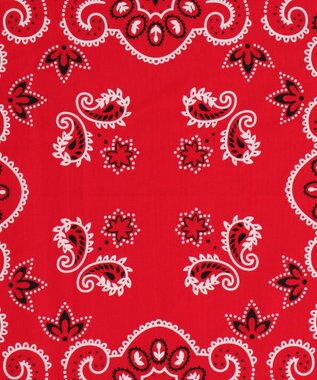 WEGO BIGバンダナ レッド