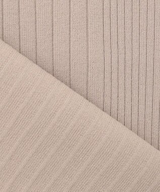 J.PRESS LADIES L 【洗える】レーヨンエリートストレッチ フレンチスリーブ ニット ベージュ系