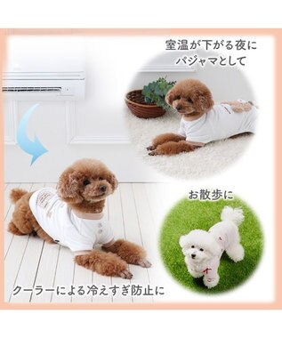 PET PARADISE ディズニー ドナルドダック サーモキープ お顔Tシャツ 小型犬 ホワイト×ブルー
