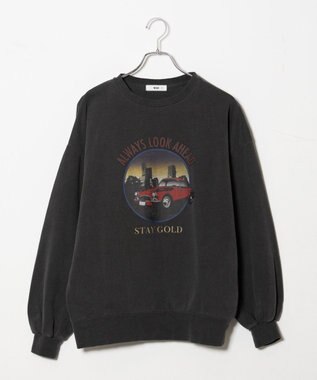 WEGO ヴィンテージライクピグメントスウェット 柄3