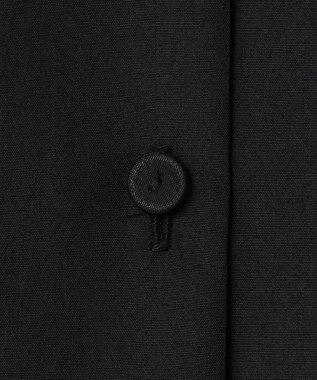 ICB 【WEB＆一部店舗限定】SustainableLace バンドカラー ブラウス ブラック系