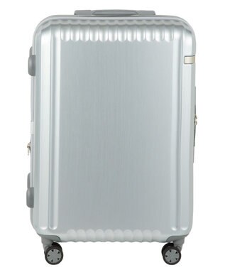 ACE BAGS & LUGGAGE ace. パリセイドZd Mサイズ 59～70L 06818 エース ヘアラインシルバー