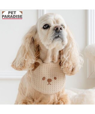  ペットパラダイス くまさん スタイ 中型犬 大型犬