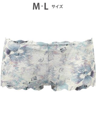 WACOAL ショーツ 【GOCOCi ゴコチ】 CGG297とペア 肌あたりのやさしいレース アウターにひびきにくい はきこみ丈あさめ レディース PGG197 /ワコール サックス