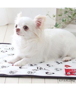 PET PARADISE ディズニー 101匹わんちゃん クール マット 小型犬 48×40㎝ ホワイト