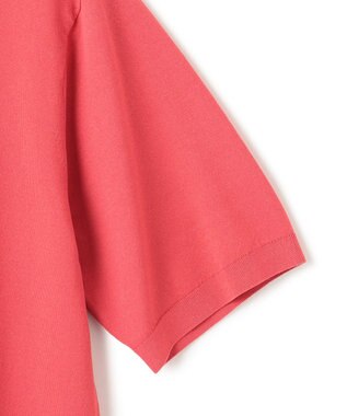 JOSEPH HOMME 【WEB限定カラーあり】【洗える/ストレッチ】リュクスレーヨン　ポロニット オールドローズ系