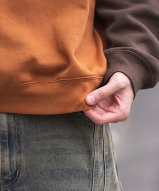 WEGO ラグランプルパーカー ブラウン