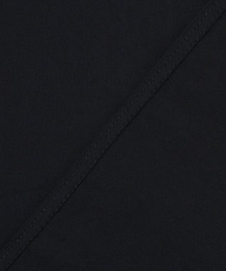 23区 【GOLD LABEL】コットンニドム ピンタックブラウス ブラック系