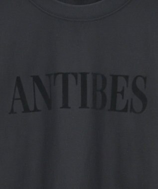 AMERICAN HOLIC Fairfield フロッキースウェットプルオーバー Black