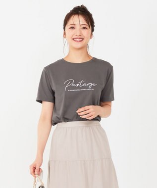 ANY SIS S ロゴ刺繍 Tシャツ スレート