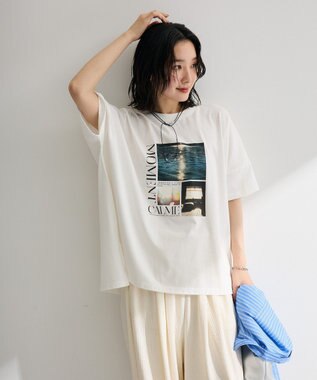 Green Parks アソート柄ＢｉｇサイズＴシャツ C