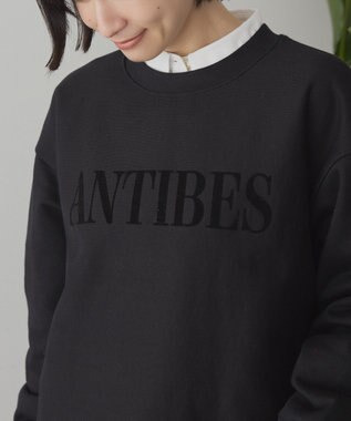 AMERICAN HOLIC Fairfield フロッキースウェットプルオーバー Black