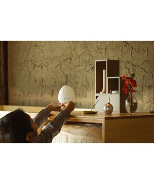 ちょうちん堂 【あかり道】〈手書絵付〉チコリ ちょうちん ライト ホワイト