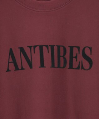 AMERICAN HOLIC Fairfield フロッキースウェットプルオーバー Bordeaux