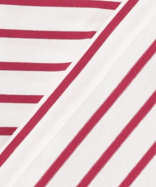 ANY オーガビッツ ボーダーカットソー マゼンタ