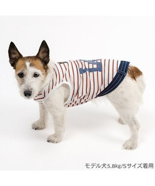 PET PARADISE Lee エコメイド ボーダー タンクトップ 小型犬 ネイビー×レッド