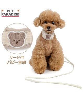  ペットパラダイス リード付き首輪 《くまちゃん》 小型犬