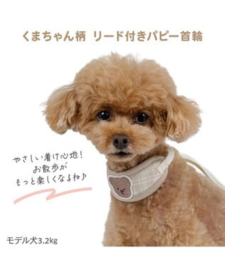 PET PARADISE ペットパラダイス リード付き首輪 《くまちゃん》 小型犬 ベージュ