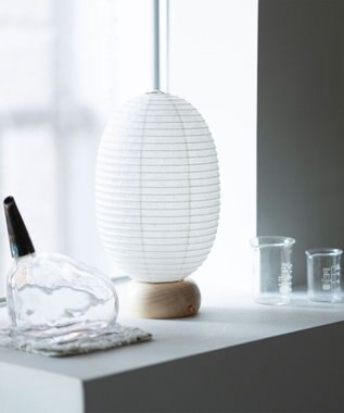 ちょうちん堂 【cocolan Muji】恐竜 ちょうちん ライト ホワイト