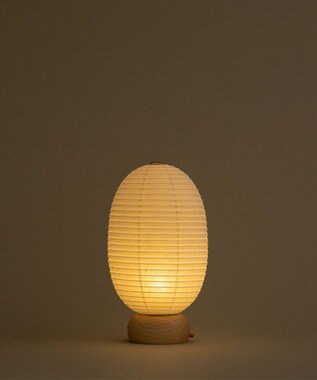 ちょうちん堂 【cocolan Muji】恐竜 ちょうちん ライト ホワイト