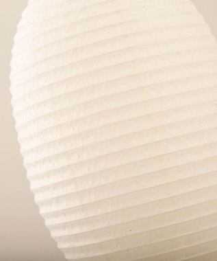 ちょうちん堂 【cocolan Muji】恐竜 ちょうちん ライト ホワイト