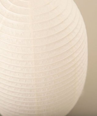 ちょうちん堂 【cocolan Muji】恐竜 ちょうちん ライト ホワイト