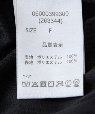 Green Parks ・ＥＬＥＮＣＡＲＥ　ＤＵＥ　ラメプリーツスカート Black