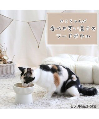 PET PARADISE 猫 フードボウル 陶器 《ホワイト /ベージュ》 ホワイト