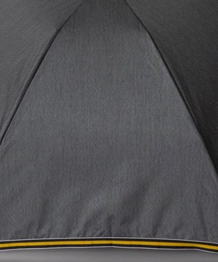 AURORA Beaurance （ビューランス）晴雨兼用傘（トップフラット） チャコールグレー