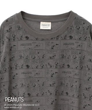 Green Parks ■ＰＥＡＮＵＴＳ　コミックロンＴ Charcoal Gray