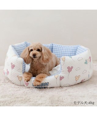 PET PARADISE ディズニー ミッキーマウス カドラー 《風船柄》  Ｍ 64×48cm ホワイト×ブルー