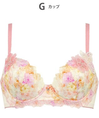  ブラジャー Wing Lesiage サイドすっきり しっかりフィット 【2900シリーズ】 ブラ PB2900 ウイング／ワコール