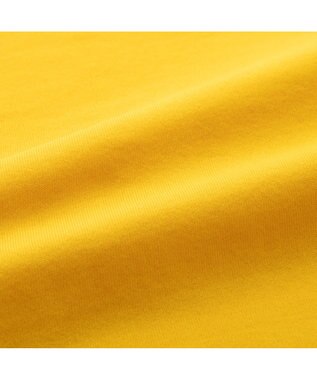 ZERO HALLIBURTON 【雑誌掲載】ソロテックス クルーネックニット 82845 W4S9c レディースゴルフ イエロー