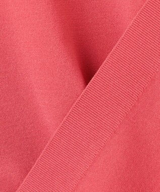 JOSEPH HOMME 【WEB限定カラーあり】【洗える/ストレッチ】リュクスレーヨン　ポロニット オールドローズ系